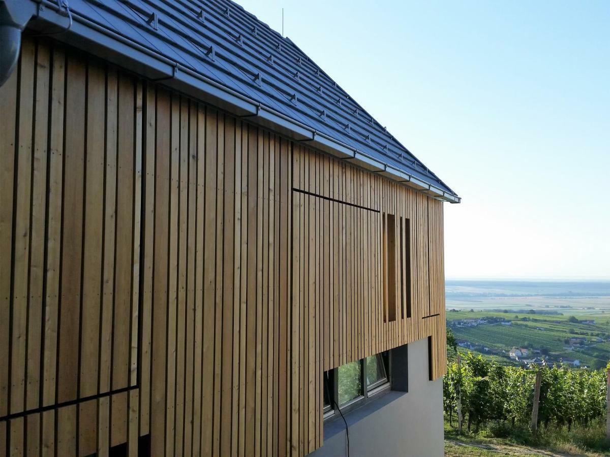 Weinlofts Weinloft II Villa Eisenberg an der Pinka Bagian luar foto